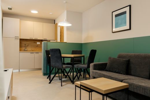 Apartment Superior 2+2 SS blc renovated