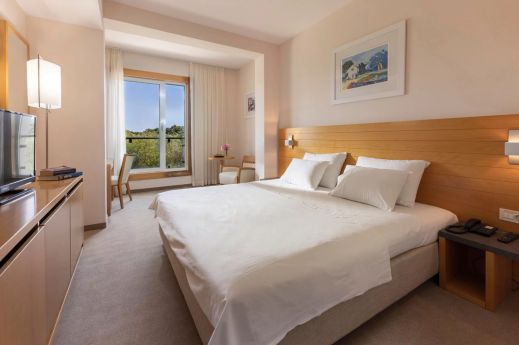 Standard DBL room